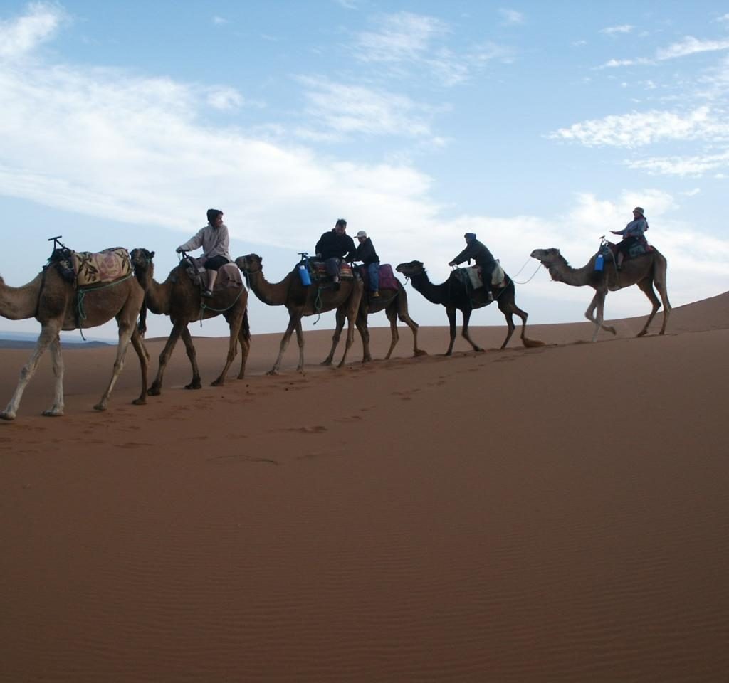 Oasis En Las Dunas De Erg Chebbi