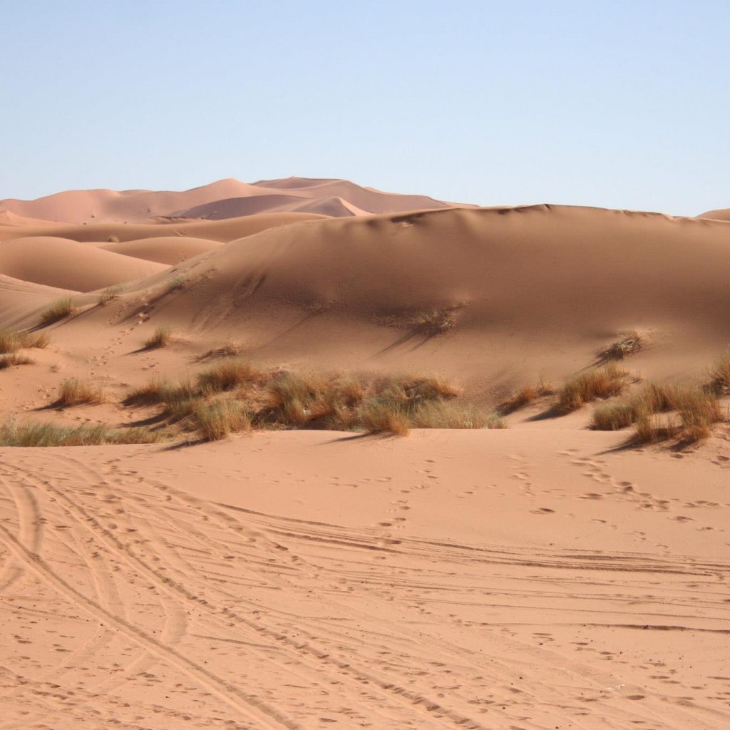 Dunas De Merzouga