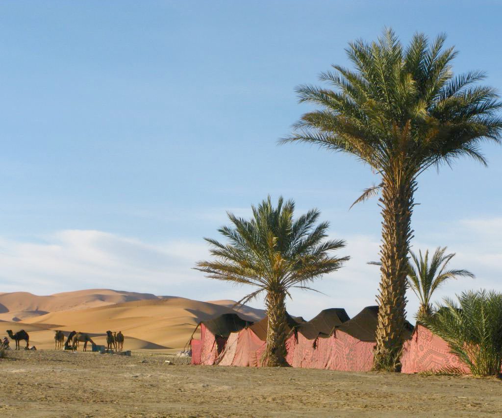 Desierto De Marruecos