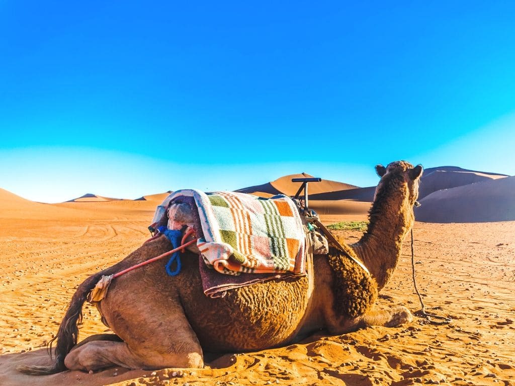 Excursiones desde Tanger en Marruecos