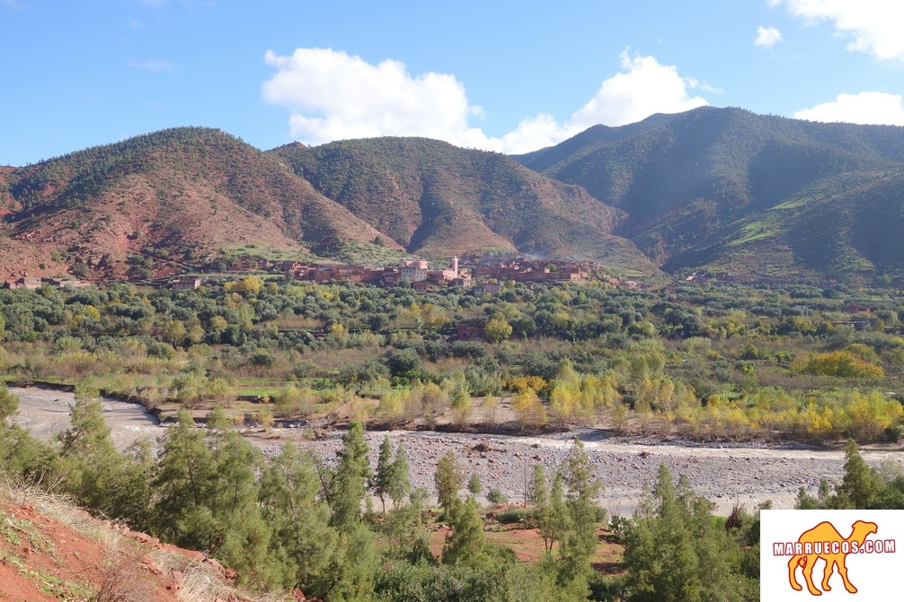 Un viaje de mil millas comienza con el primer paso - Lao-Tsé