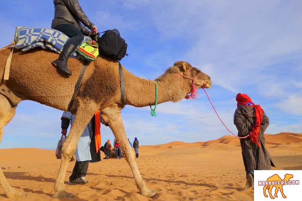 Viajar hace a uno modesto. Ves el lugar pequeño que ocupas en el mundo - Gustave Flaubert