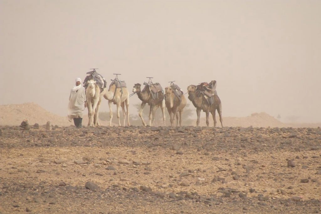 Circuit Le Maroc » 12 jours / 11 nuits à partir de 835€