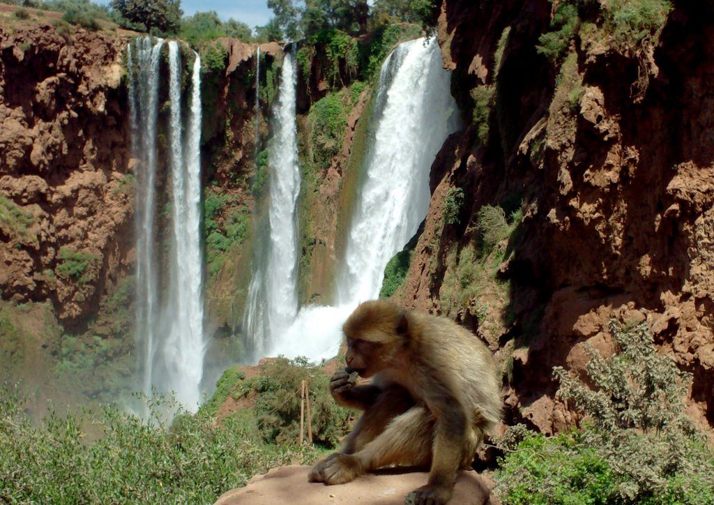 Cascadas De Ouzoud