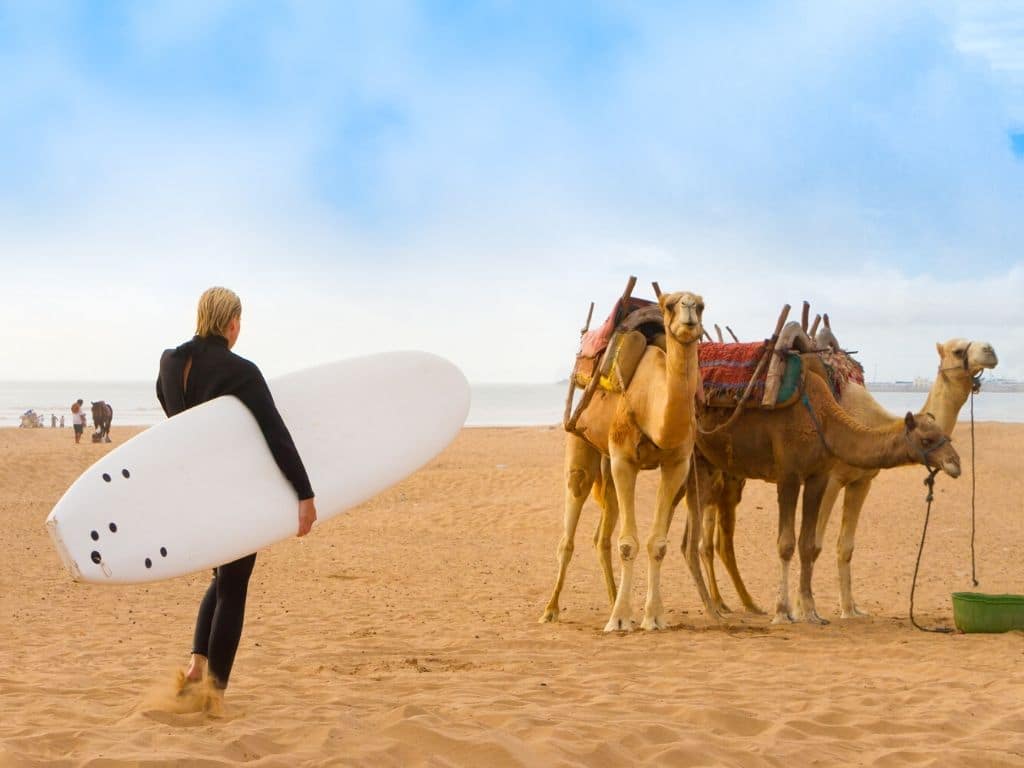 Clases de Surf en Essaouira Marruecos