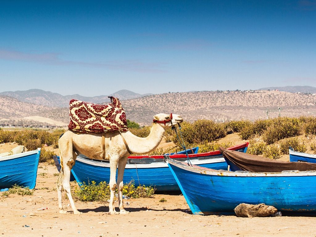 Clima de Agadir en Marruecos