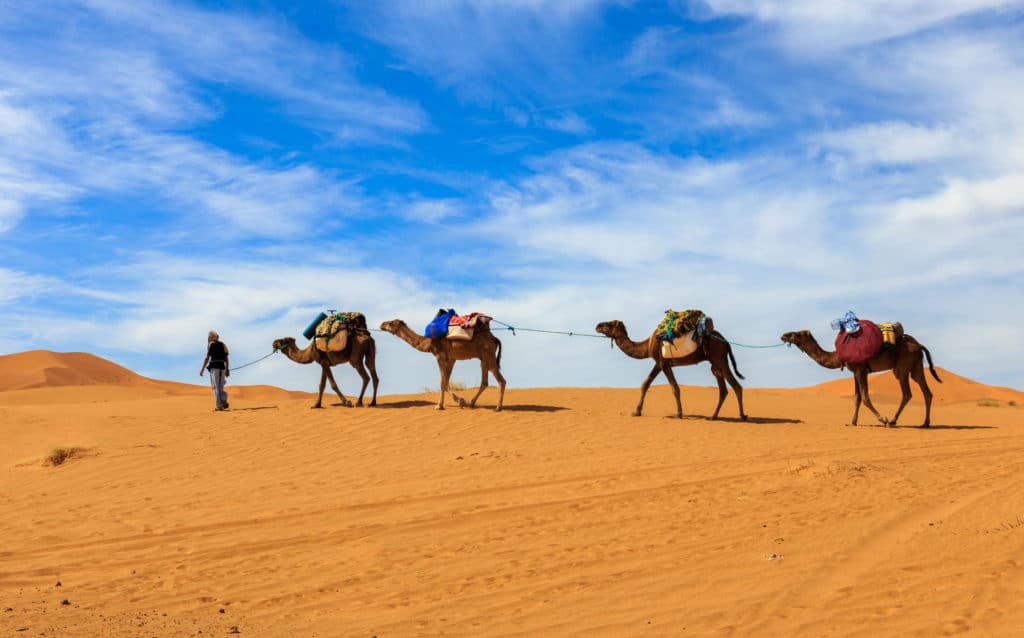 Viaje a Marruecos