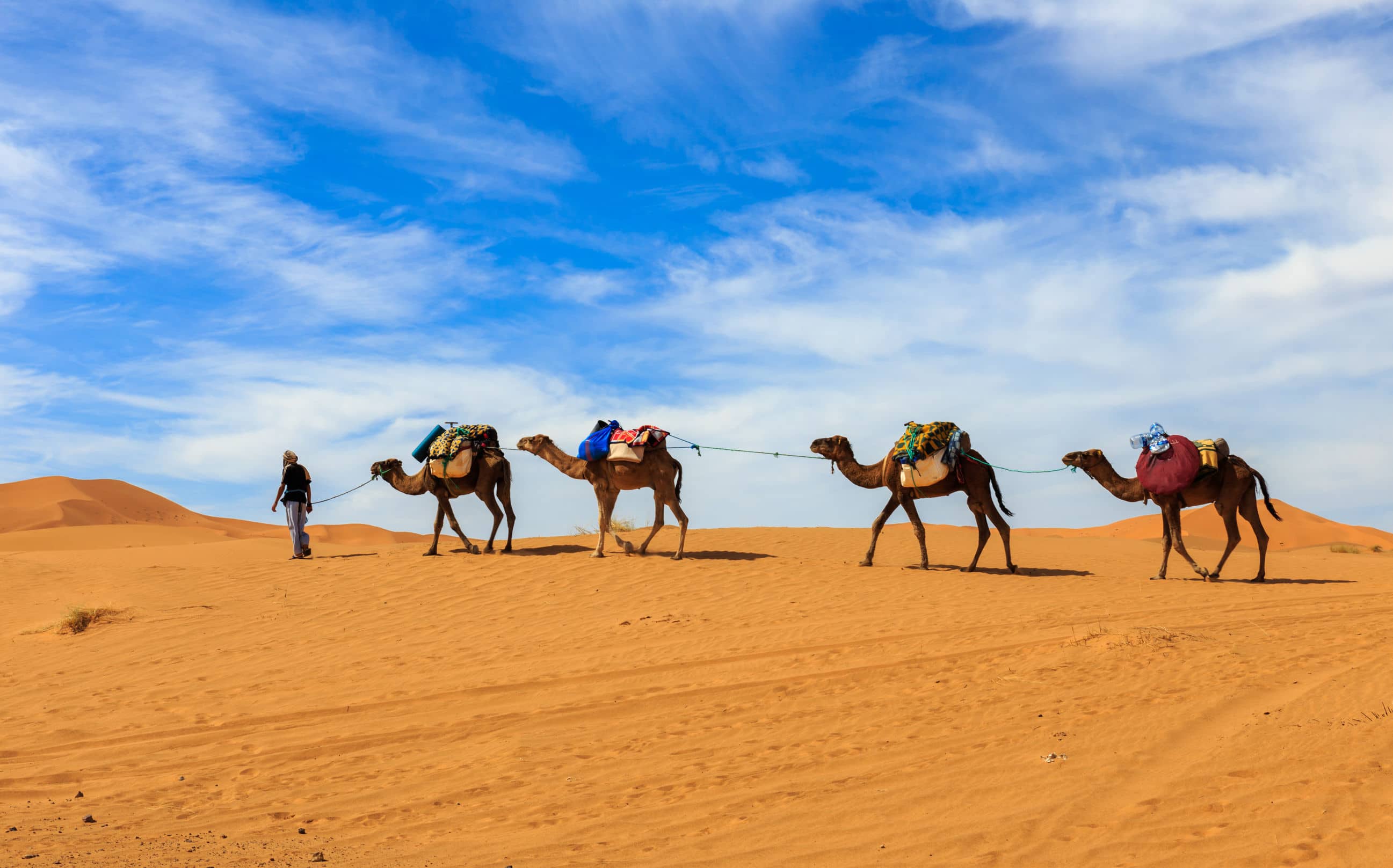 tour camello marruecos