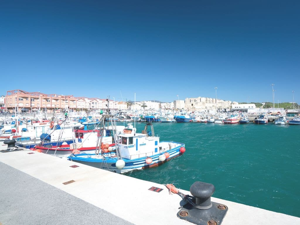 Ferry Tarifa Tánger