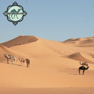 Foto De Marruecos