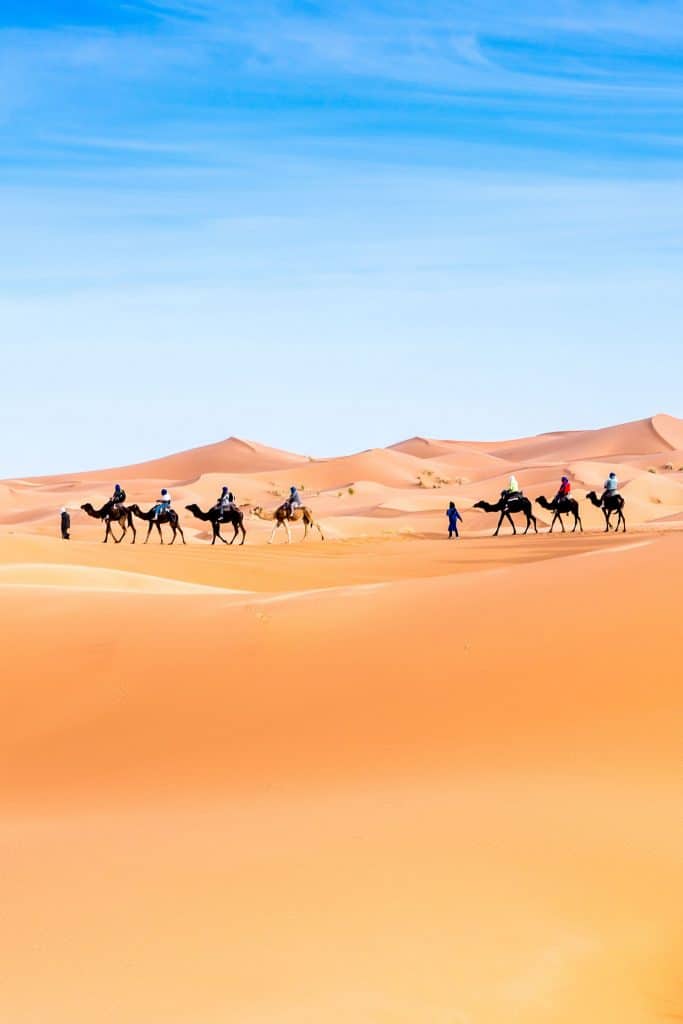 Mejores lugares para camel trekking en Marruecos