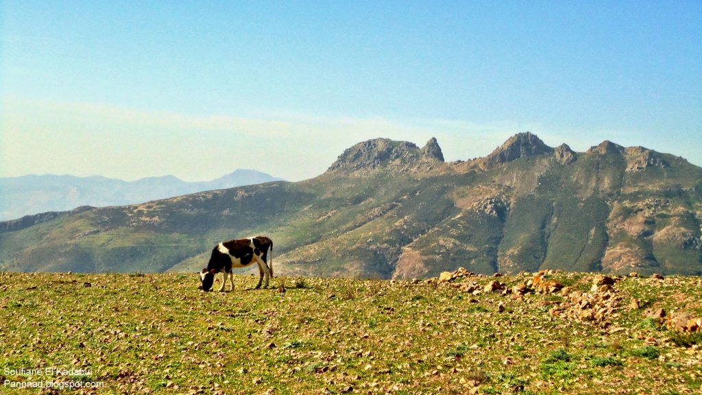 Montañas de Gourougou Marruecos