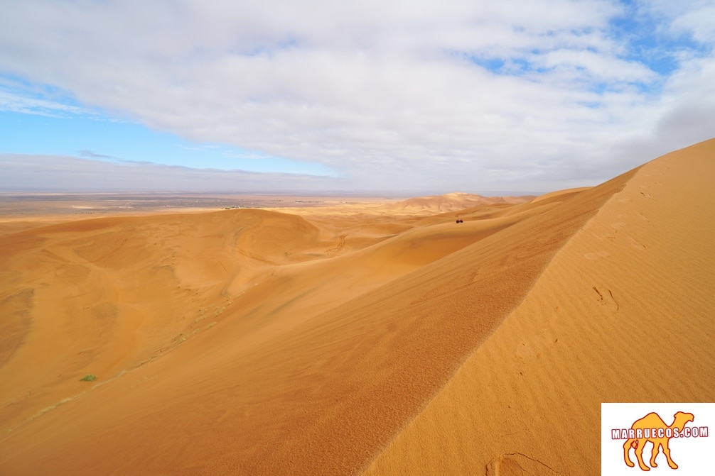 No vayas donde te lleve el camino. Ve donde no hay ninguno y deja un rastro – Ralph Waldo Emerson