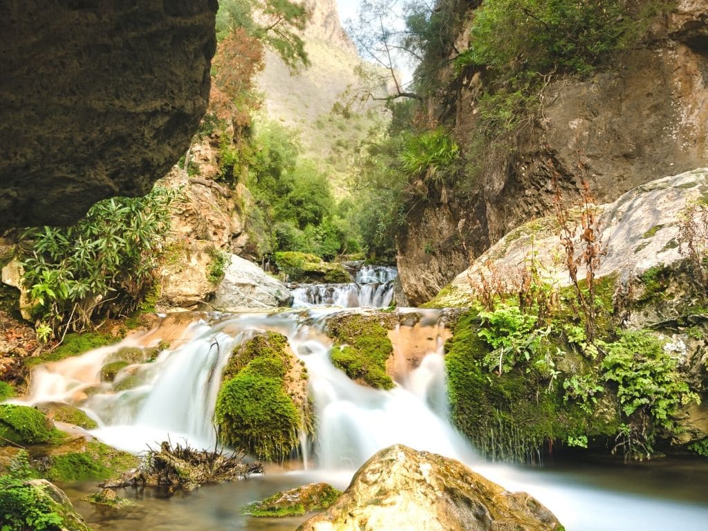 Parc National de Talassemtane Maroc