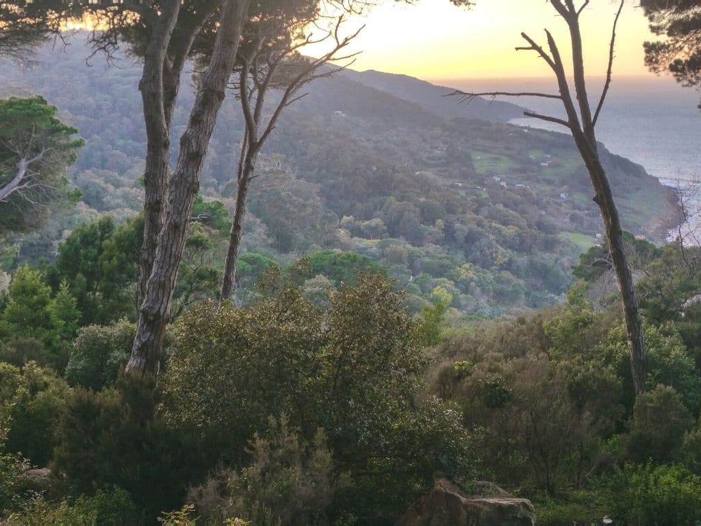 Parc Perdicaris Tanger Maroc