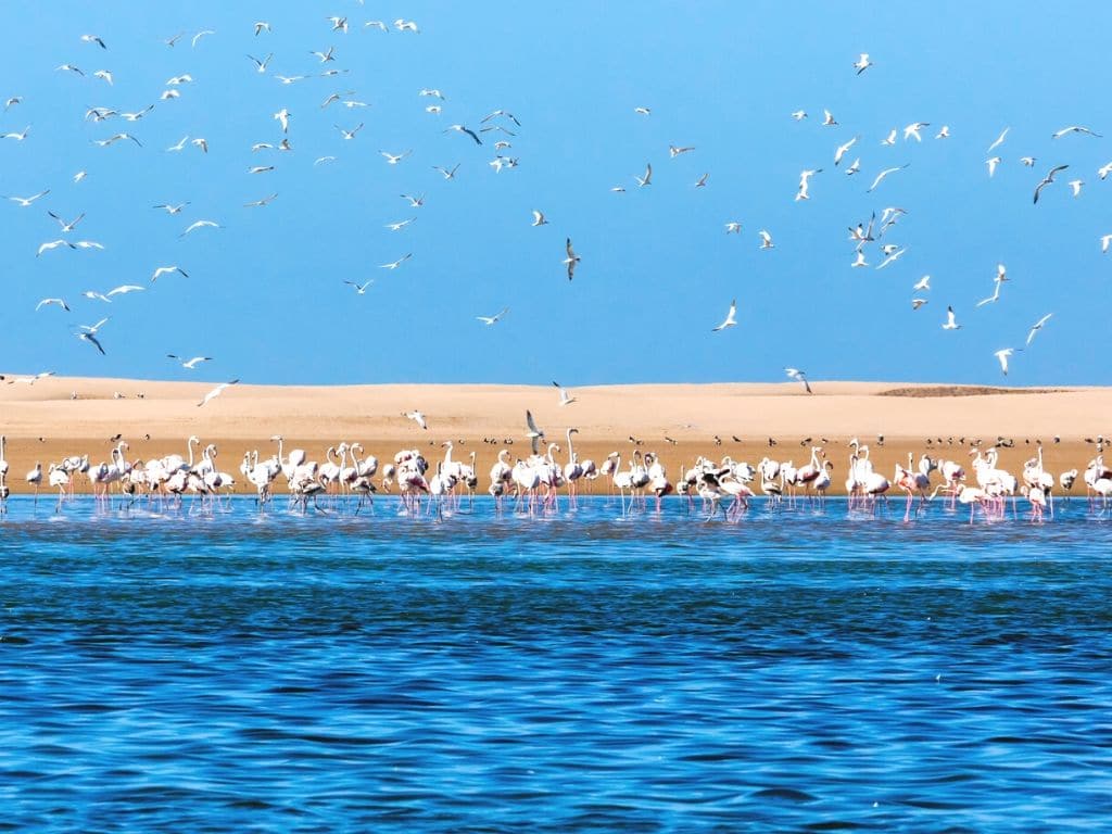 Parque nacional Khenifiss Marruecos