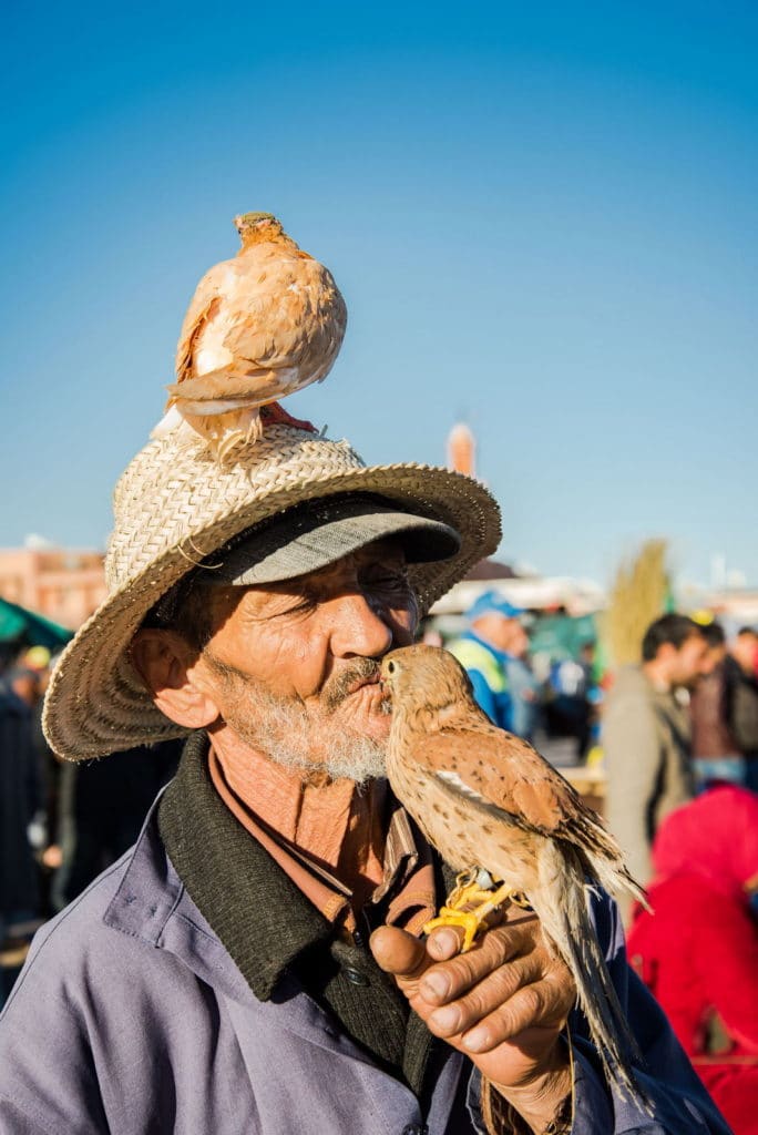 Que ver en Marrakech