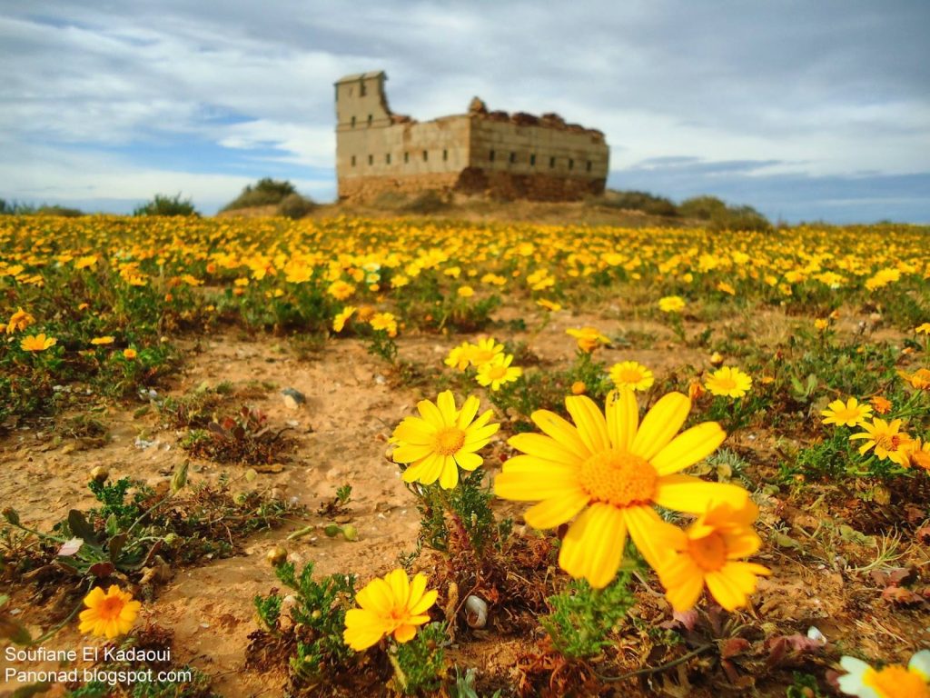 Torre de Aljazira en Arkmane Marruecos