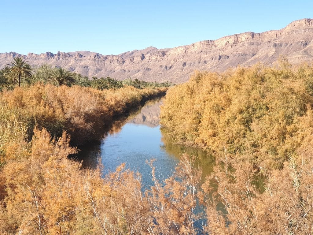 Valle del Draa Marruecos