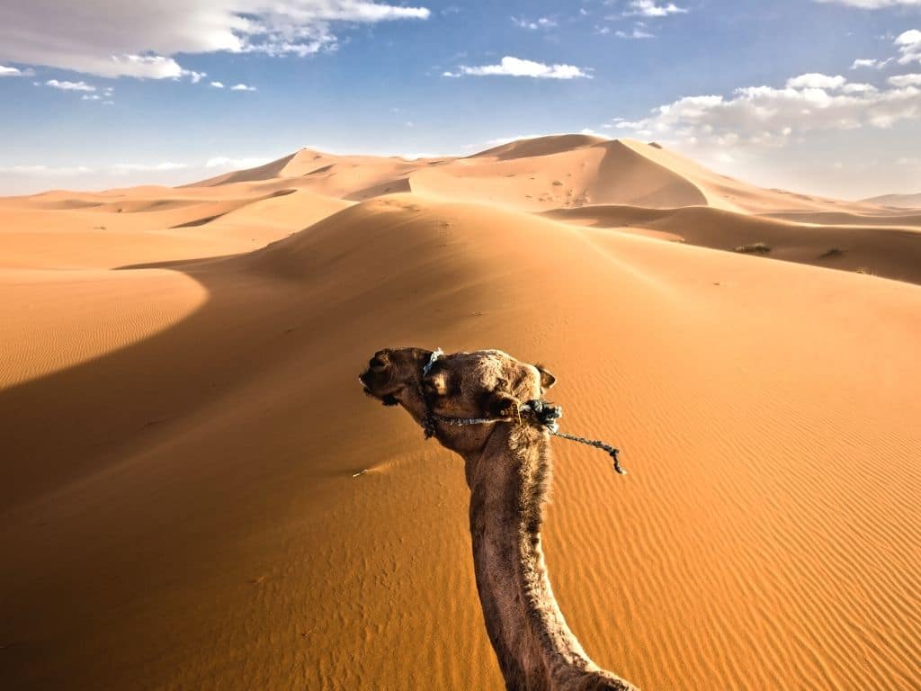 El desierto del Sahara en 4 días / 3 noches