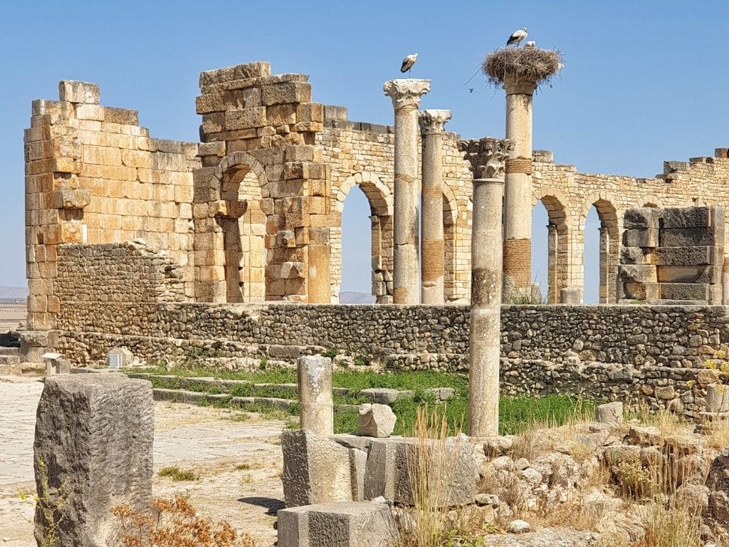 Volubilis Maroc