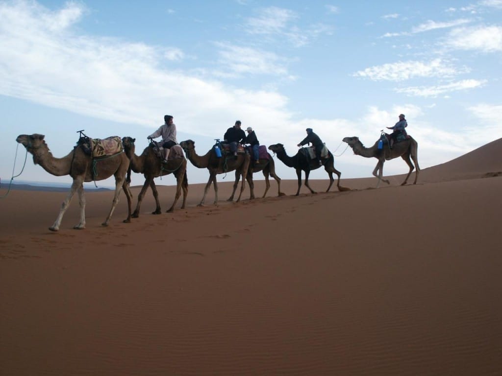 Oasis en las Dunas de Erg Chebbi