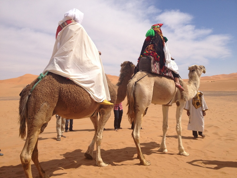 Paseo de camello en una Boda en el desierto