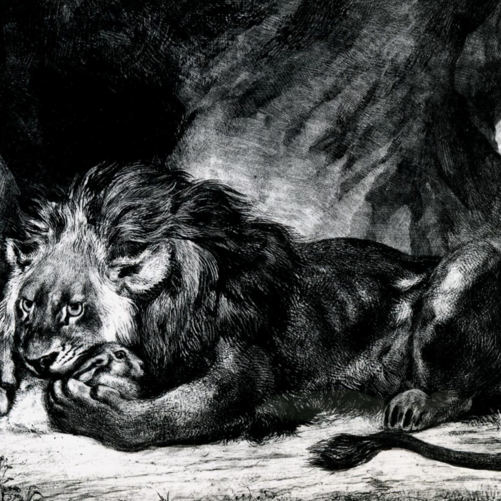 El León Del Atlas De Marruecos