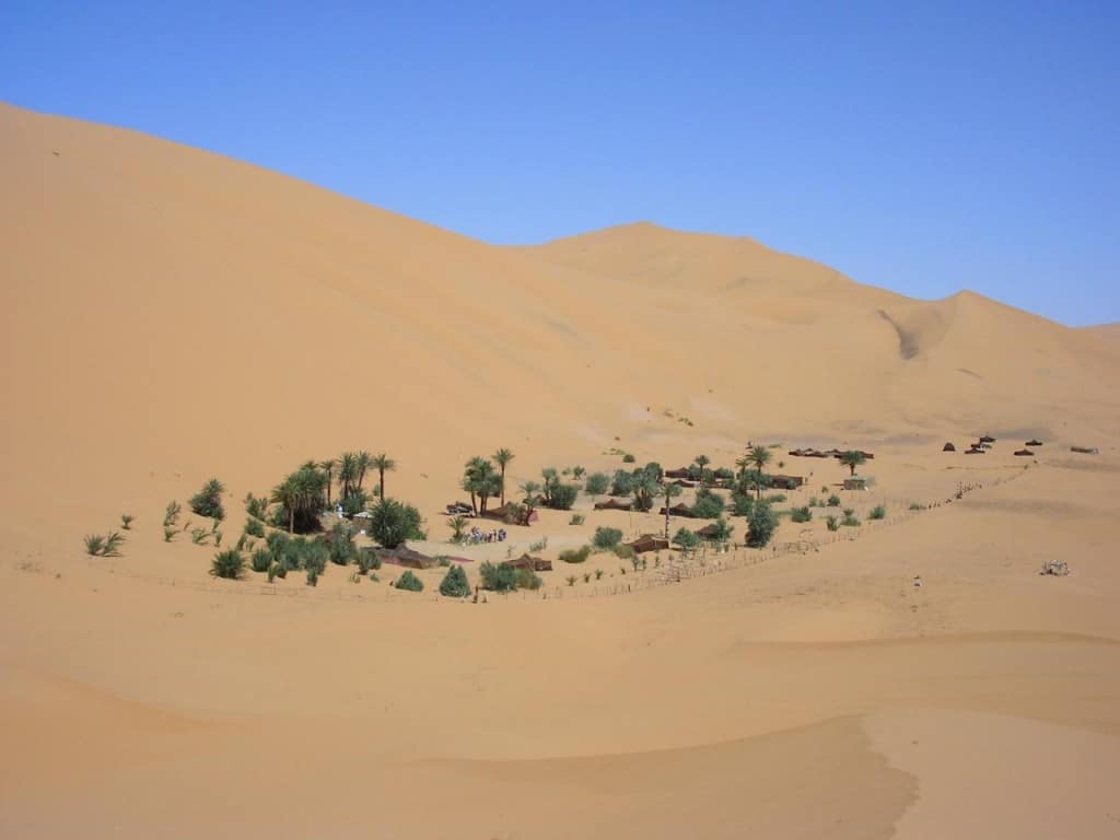 Oasis en las Dunas de Erg Chebbi