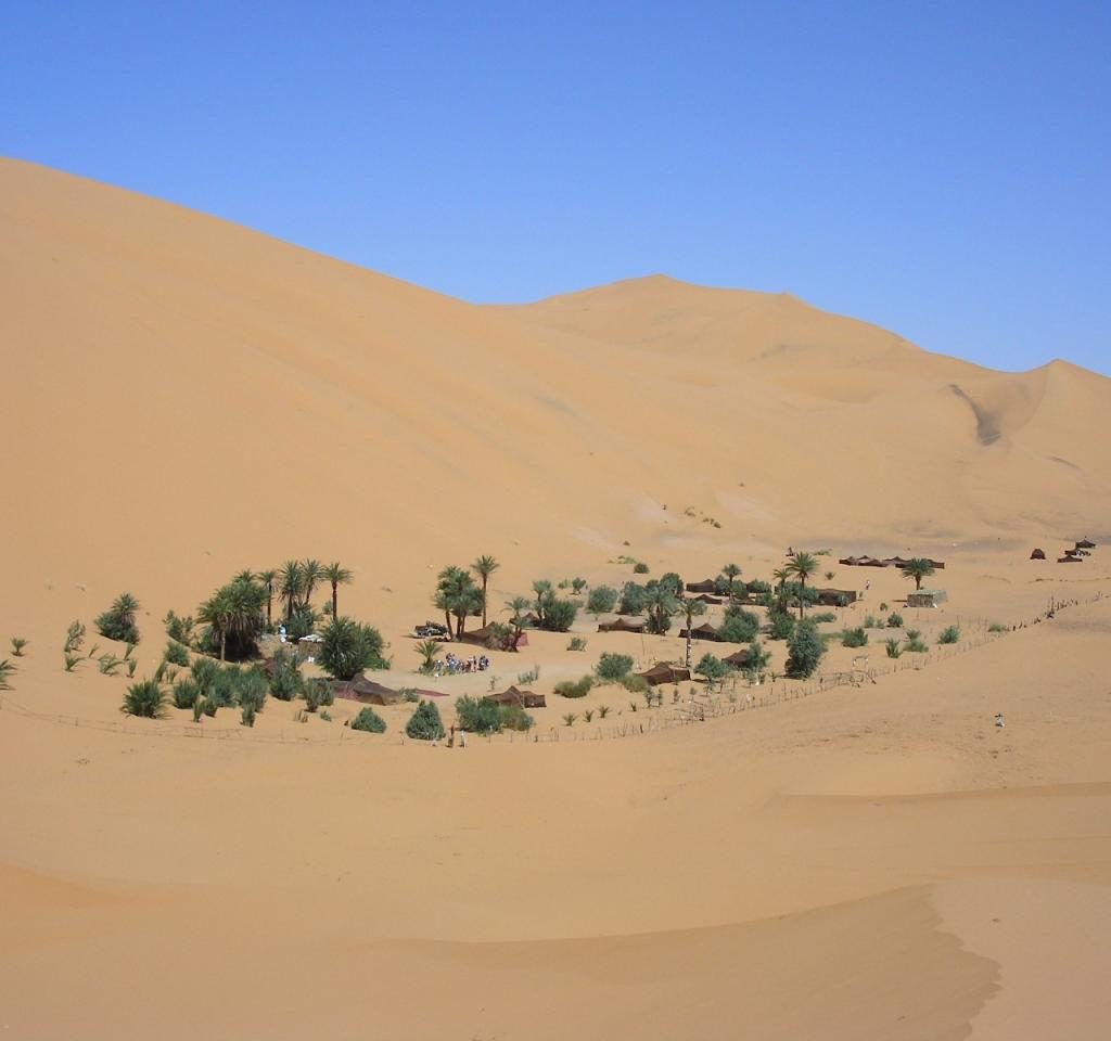 Oasis En Las Dunas De Erg Chebbi