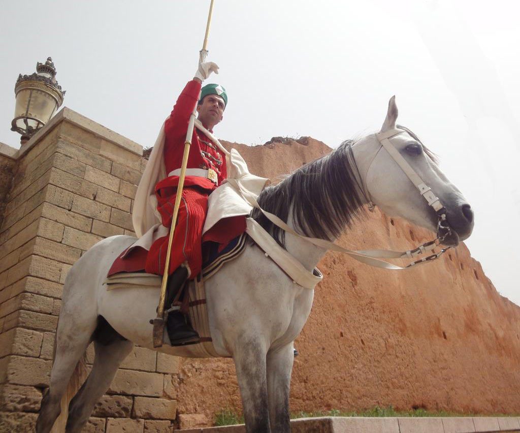 Guardia Real A Caballo En Rabat En Marruecos